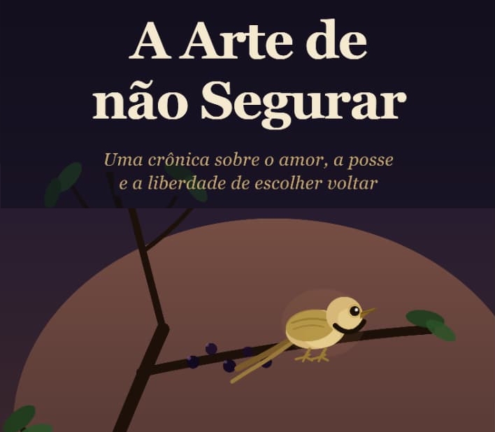 A Arte de Não Segurar